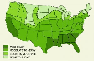 locations of termites